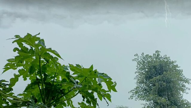 rain and thunderstrom for relaxation