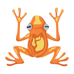 orange frog exotic animal