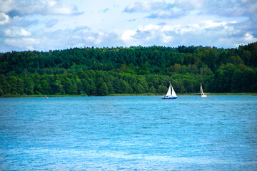 Łódka na wodzie na tle lasu © D