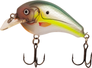 Artificial crankbait fishing lure