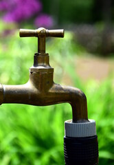 Wasserhahn isoliert im Garten 