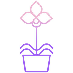Moth orchid plant icon