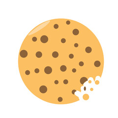 cookie with chocolate