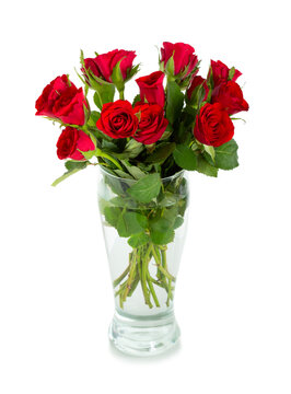Bouquet of red scarlet roses in vase