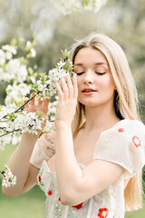 A young beautiful blonde in a long white dress poses near a cherry blossom in the garden, a spring picturesque landscape