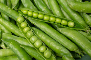 fresh peas