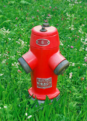 a red fire hydrant in the grass