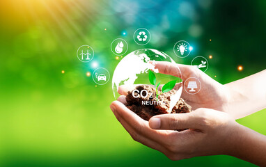 Hand holding a green tree with icons of energy sources for renewable, sustainable development....