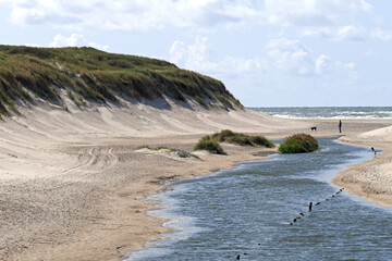 Landschaften bei Henne Strand in Dänemark