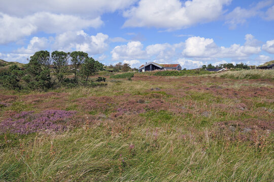 Landschaften bei Henne Strand in D&auml;nemark