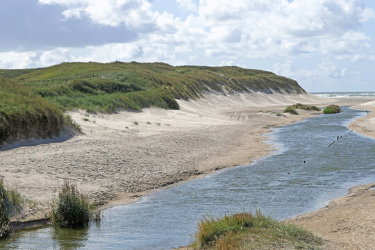 Landschaften bei Henne Strand in D&auml;nemark