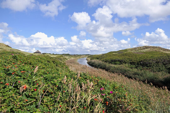 Landschaften bei Henne Strand in D&auml;nemark