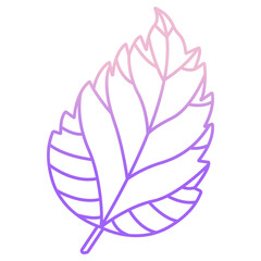 Hibiscus Leaf icon
