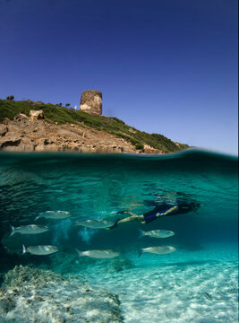 Split of above and underwater photo of a  boy swimming and snorkeling. Isola dell'Asinara (Sassari, Sardegna, Italia)