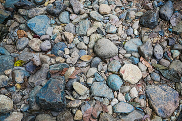 Mixed River Stone On background.