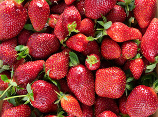 strawberries in a market