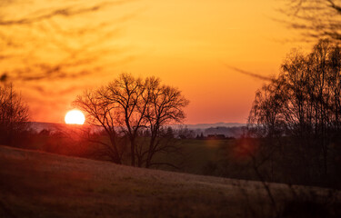 Fototapeta na wymiar Sonnenuntergang am Abend mit roter Sonne und schöner Silhouette und Bäume