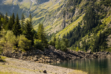 Fototapeta na wymiar Alpine lake and forest