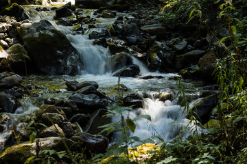 waterfall in the forest