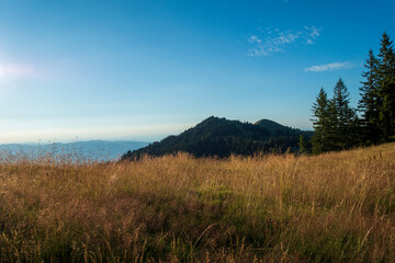 Obraz premium forest in the mountains and clear blue sky