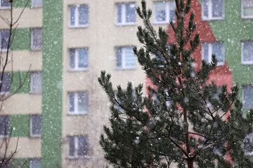 Pada pierwszy śnieg na osiedlu i drogi.  - obrazy, fototapety, plakaty