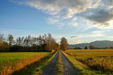 Fototapeta na wymiar Country road or path in autumn