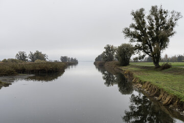 Morning mood on the river
