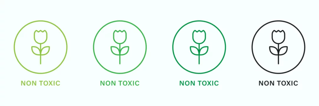 Non Toxic Product Line Green and Black Icons Set. No Toxin Chemical Safety  Product Guarantee Outline Pictogram. Free Toxic Certified. Organic Symbol. Nontoxic  Seal. Isolated Vector Illustration Stock Vector