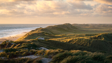 sunset over the coast in the dunes