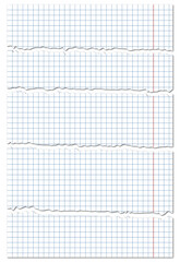 Torn sheet of paper from a notebook in a cell. Paper scraps. Ripped paper. School notebook.