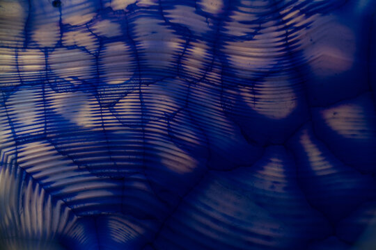 Cracked surface of blue stone