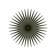 Obraz premium rays icon