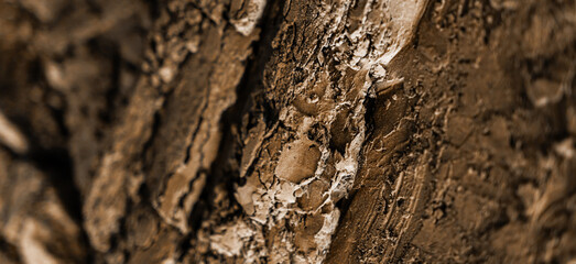 burned out wood wallpaper 