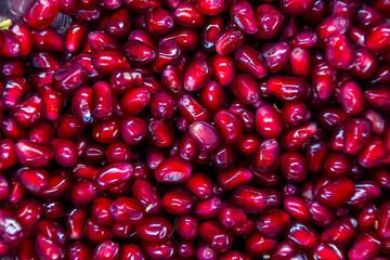 Red grains of pomegranate in macro