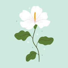 White hibiscus flower. Pastel holiday illustration.