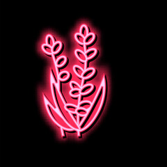 lavender flower aromatherapy neon glow icon illustration
