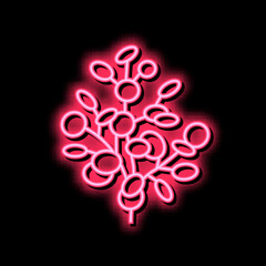 eucalyptus aromatherapy neon glow icon illustration