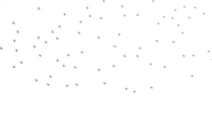 XMAS Stars - Holiday silver decoration, glitter frame isolated -