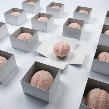 Thinking outside the box - concept shot. Some human brains in a box and one box opened up. Creativity, innovation, inspiration concepts.