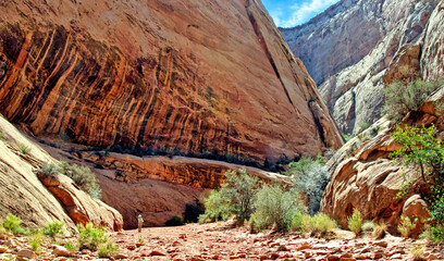 Hiker on the Grand Wash Trail in Utah's Capitol Reef National Park
