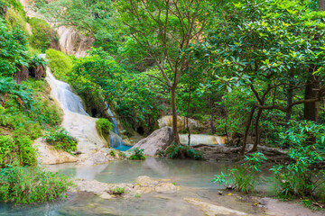Waterfall in tropical landscape, green trees in wild jungle forest