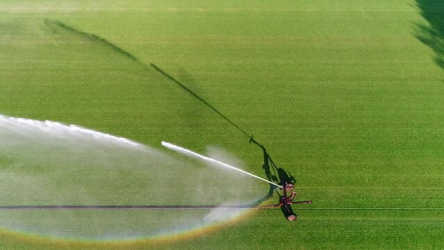 Aerial top down view of irrigation sprinkler is a device used to irrigate (water) agricultural crops lawns landscapes golf courses and other areas and is the method of applying fluids 4k resolution