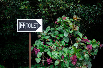 The signboard indicating the direction where the public toilet is located. Restroom location in a park.