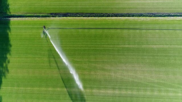 Aerial top down view of an irrigation sprinkler is a device used to irrigate (water) agricultural crops lawns landscapes golf courses and other areas and is the method of applying fluids 4k resolution