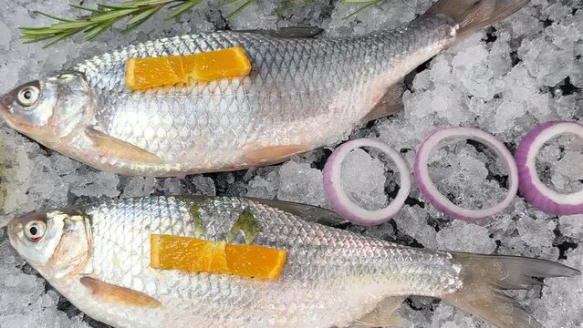 pearl fish, freshwater fish known as sardines and from the local carp group