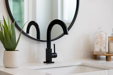 Modern bathroom details of sink with black faucet, black rim mirror, green plant, and sleek white...
