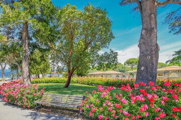 Idyllic public park with roses at springtime in Lazise, Lake Garda, Italy