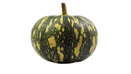 green pumpkin isolated on white
