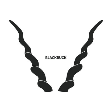 Horn blackbuck vector icon.Black vector icon isolated on white background horn blackbuck.