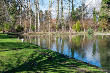 Water pond and trees at the Rowan Park, Merchtem, Belgium